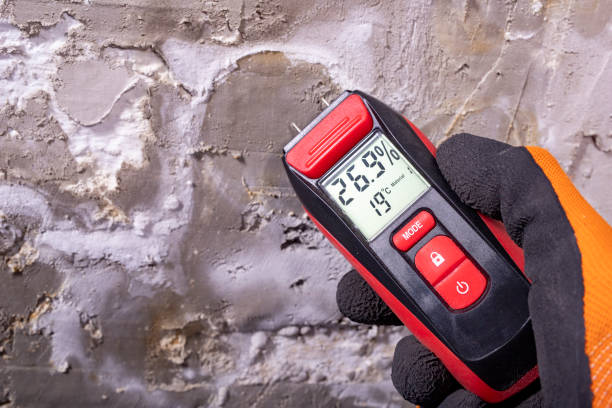 Best Toxic Mold Removal  in Oakland, FL