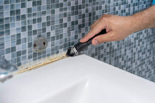 Home Mold Removal in Oakland, FL