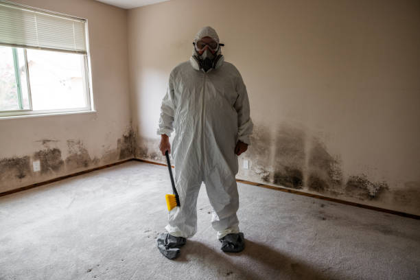 Best Black Mold Removal  in Oakland, FL